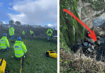Crew rescue dog after it fell from cliff edge