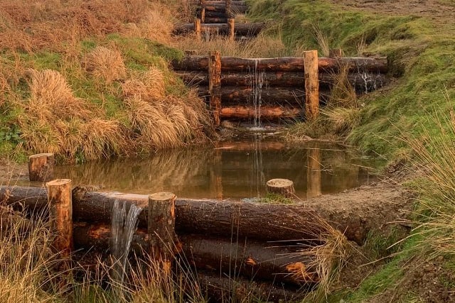 Example of logs helping to slow the flow of water in peatland restoration