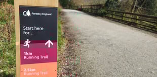 Running trails launched