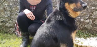 Writer’s latest home town novel to launch