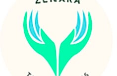 Zenara Therapeutics: Celebrating the small wins