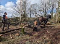 South West Water uses horses to improve biodiversity