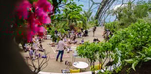 Visitors can expect a world of wonder during half term
