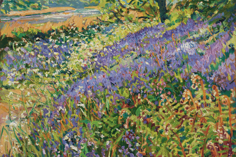 Bluebells and the river at Cotehele. (Picture: Mary Martin)