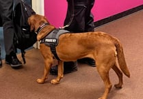 Police dog Skye teaching children the risk of drugs