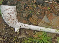 An unusual find in a Cornish hedgerow