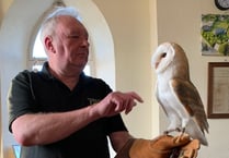 Community news: Owls, garden parties and Fluffy Pink Pig Racing