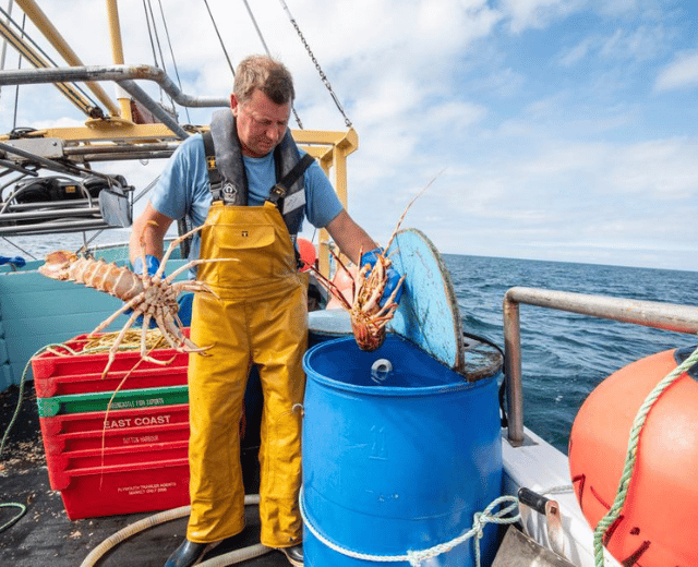 New initiative set to increase British consumption of Cornish seafood