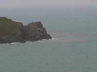 Beaches could become cleaner after new legislation introduced
