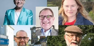 South East Cornwall constituency 