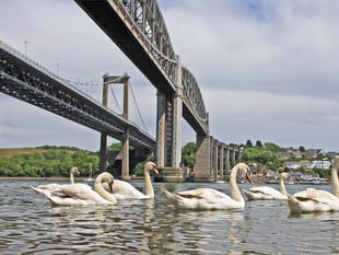 Henwyn tyller/Place names - Saltash 