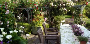 Enjoy entry to Dye Cottage Garden in support of children’s hospice 