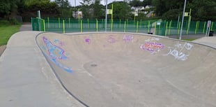 Council issues plea as facilities hit by vandalism