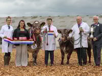Champions tapped out at Royal Bath & West Show