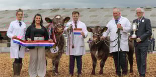 Champions tapped out at Royal Bath & West Show