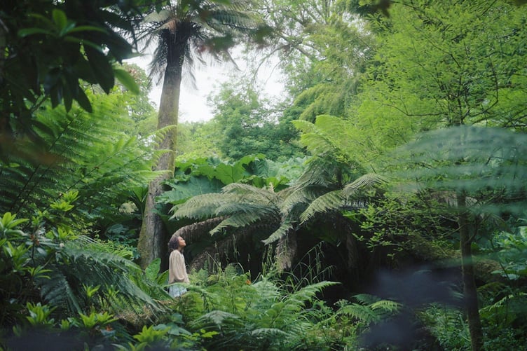 Visitors to the Lost Gardens of Heligan are being invited to learn more about giants in nature.
