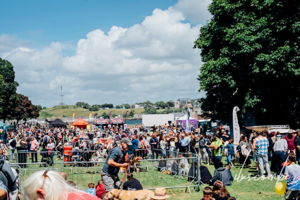 Mount Edgcumbe's Ice Cream & Bubbles Festival returns in July cornish