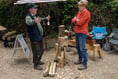 Ancient woodland thriving thanks to restoration works