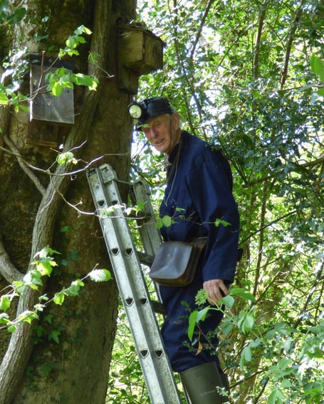 TONY Atkinson MBE, inspecting bat boxes in a Cornwall Wildlife Trust Reserve near Treburley