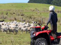 Police warn of rural thefts