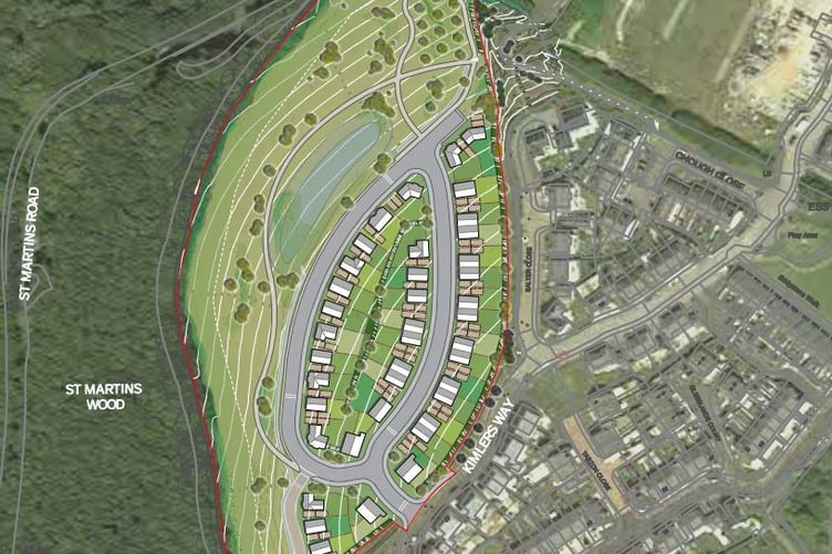 A plan of the proposed Looe development (Picture: APG Architecture)