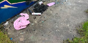 Call to report skatepark vandalism