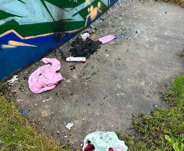 Call to report skatepark vandalism
