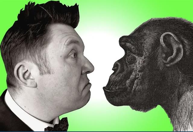 Liskeard to welcome Squashbox's Curious Creatures