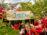 Council thanks community for helping to plant a million trees