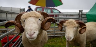 A traditional taste of rural life is returning to Stithians this month