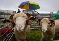 A traditional taste of rural life is returning to Stithians this month