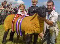 Record attendance for this year's Liskeard Show