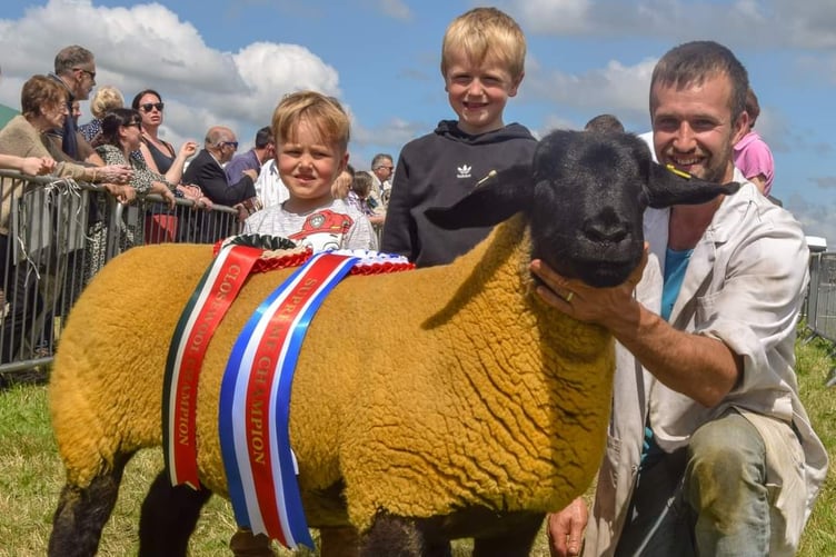 BRANDON Roth won the Supreme Sheep Champion with his Suffolk Shearling ewe