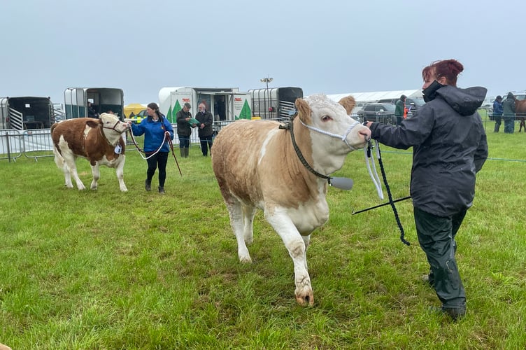 Camborne Show 1