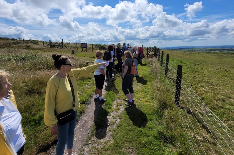 Walkers on Kit Hill