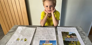 Young fan appeals for return of Minions sign