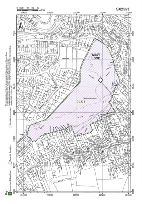Five hectares of land at West Looe Downs has been granted common land status. 