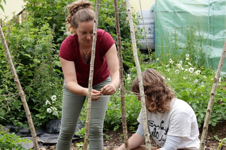A community garden is being created at Tregovenek near Pensilva