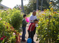 National Trust to celebrate history and culture at heritage open days