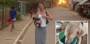 Cornwall College volunteer leads dog rescue mission in Madagascar