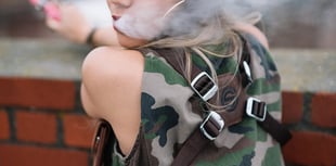 Ban flavoured vapes, demands Cornwall Council