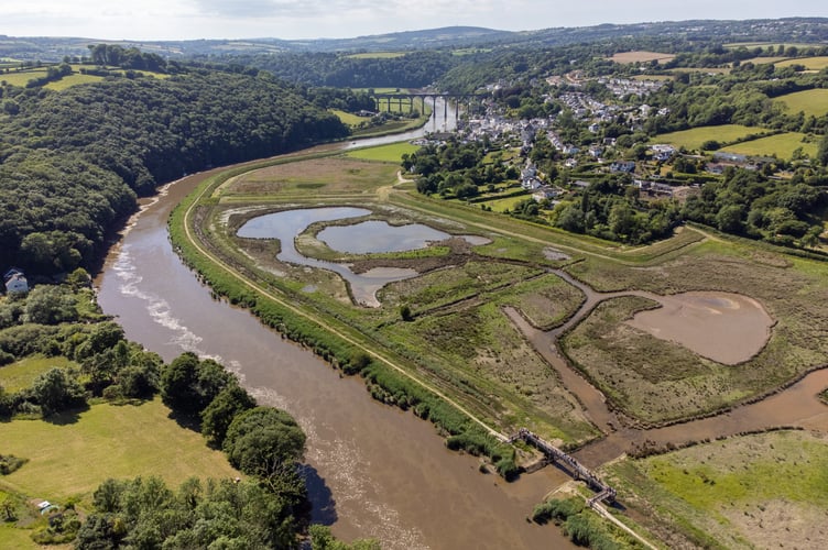 The Tamar Valley National Landscape team is tasked with conserve and enhance the natural beauty of the protected landscape. (Photo: Tamar Valley National Landscape)