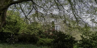 Auction of pieces from Trethill House collection
