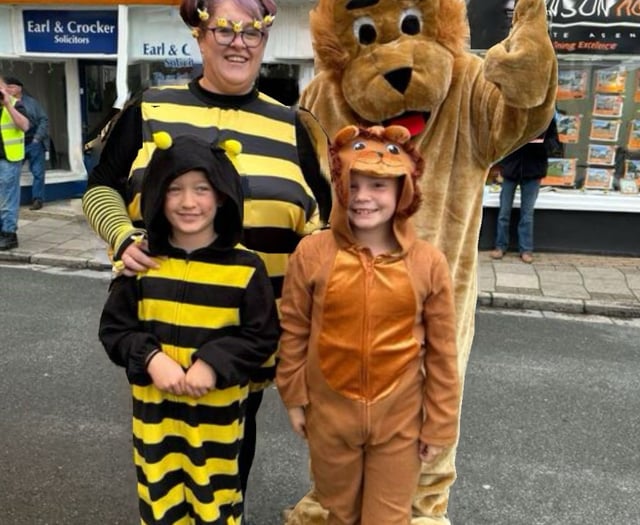 All the buzzing fun of the Callington Honey Fair