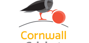 First round groups announced for cricket cup competitions