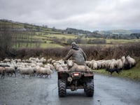 Residents urged to be vigilant following surge in rural thefts