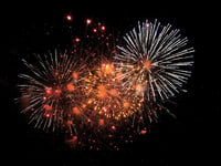 Lions all set for Bonfire Night display