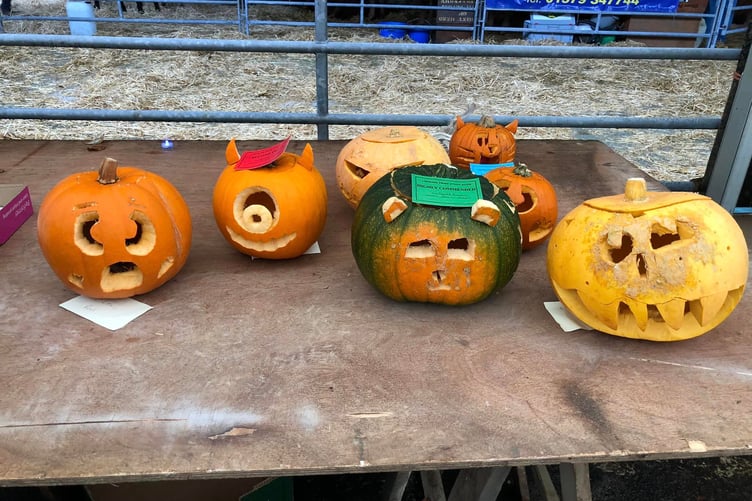 A PUMPKIN carving competition will be one of the classes to enter at this year's Primestock Show