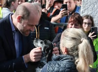 Fingerprints, fridge cake and dogs steal the show at Royal visit