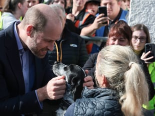 Fingerprints, fridge cake and dogs steal the show at Royal visit